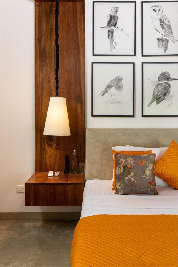 Koragaha Lodge - Yala Tissamaharama Zewnętrze zdjęcie