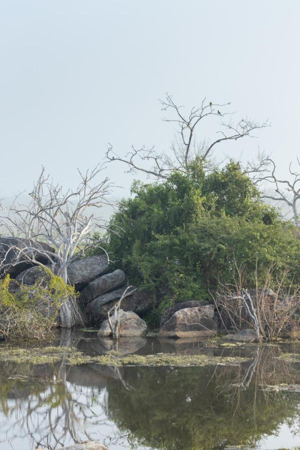 Koragaha Lodge - Yala Tissamaharama Zewnętrze zdjęcie