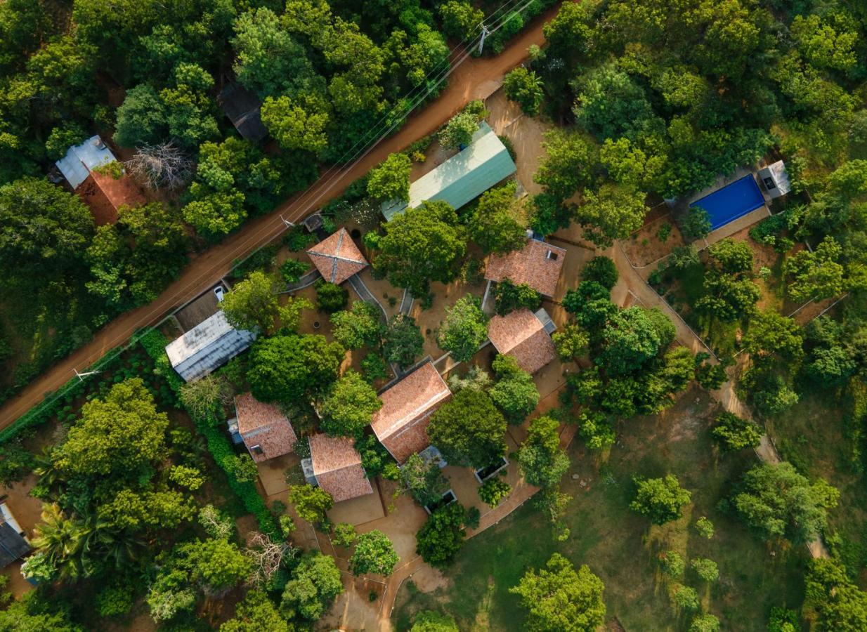 Koragaha Lodge - Yala Tissamaharama Zewnętrze zdjęcie